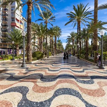 And By Fidalsa Alicante